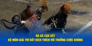 đá gà cựa sắt